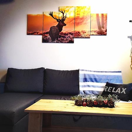 Apartament Lenka Karkonosze Lägenhet Jelenia Góra Exteriör bild