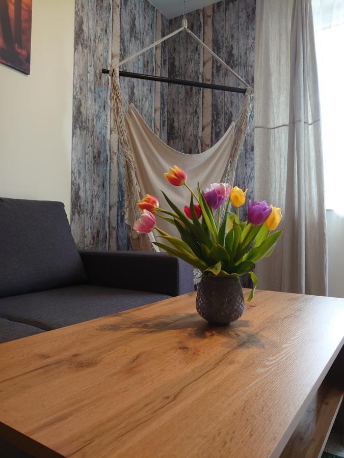 Apartament Lenka Karkonosze Lägenhet Jelenia Góra Exteriör bild